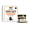 Lion Shuddha Shilajit || Resin form || Pure Himalayan Shilajit,15g