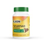 Vijaysar Churna,100 gm