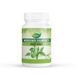 Nirgundi Ghanvati,100 tab