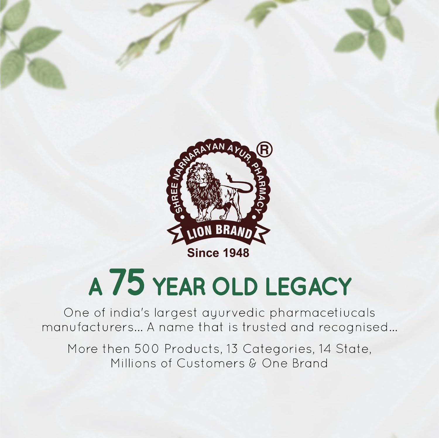 Lion Brand Shilajit Gold Resin, 20g | With Ashwagandha, Safed Musli, Gokshura, Kaunch & Swarna Bhasma | Boosts Stamina & Strength - Image 6