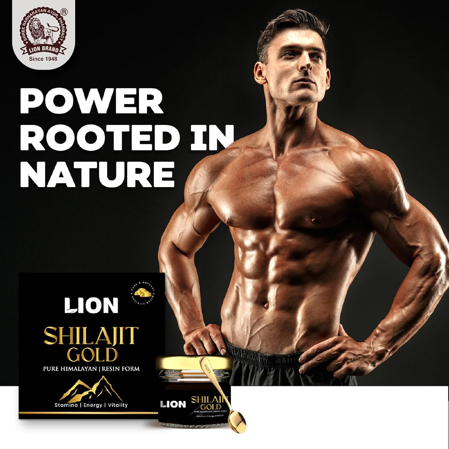 Lion Brand Shilajit Gold Resin, 20g | With Ashwagandha, Safed Musli, Gokshura, Kaunch & Swarna Bhasma | Boosts Stamina & Strength - Image 2